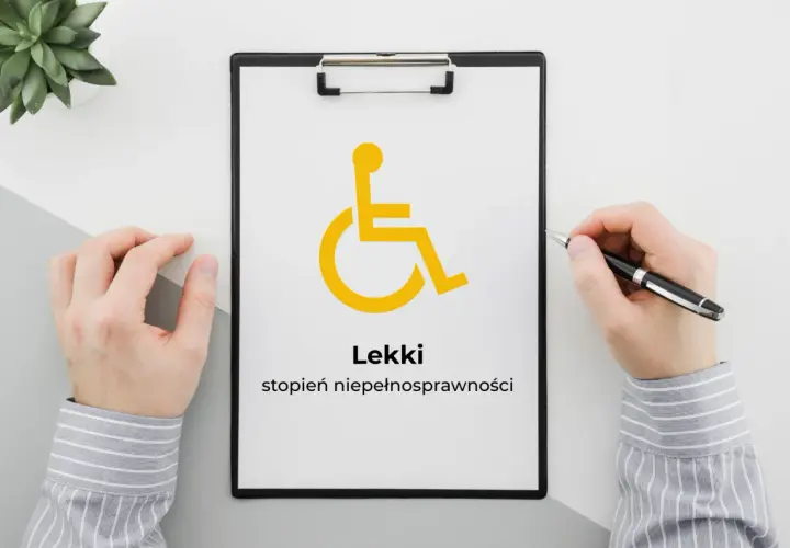 Na kartce widnieje symbol osoby na wózku inwalidzkim i napis "Lekki stopień niepełnosprawności".